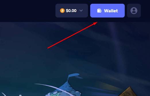 Duel Wallet na accounttoegang
